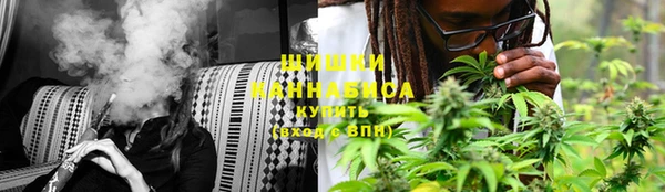 PSILOCYBIN Аркадак