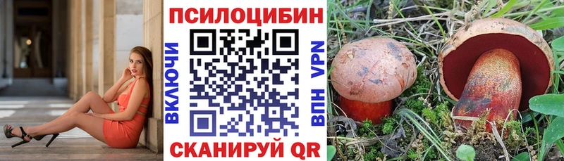 Псилоцибиновые грибы Magic Shrooms  Купить закладки  Сысерть 